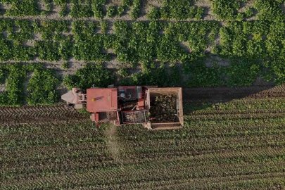Yozgat’ta 6 aylık emeğin hasadı başladı
