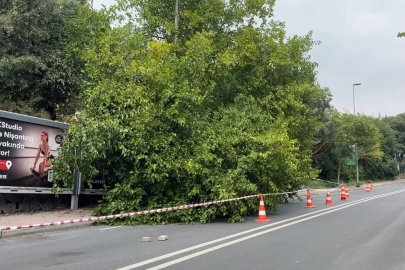 İstanbul’da yağış sonrası ağaçlar devrildi, rögarlar taştı
