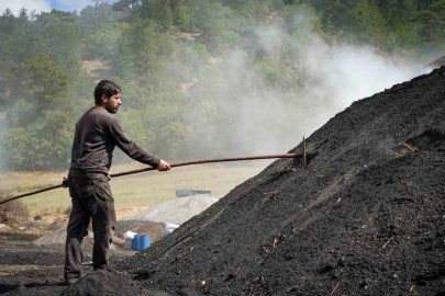 Meşe odunundan mangal kömürüne: 15 günlük zorlu mesai
