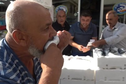Kilis’te palamut 100 liraya düştü, balıkçı çiğ çiğ yedi
