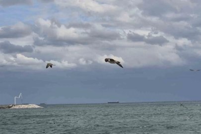 Tekirdağ’da ’kestane karası’ fırtınası
