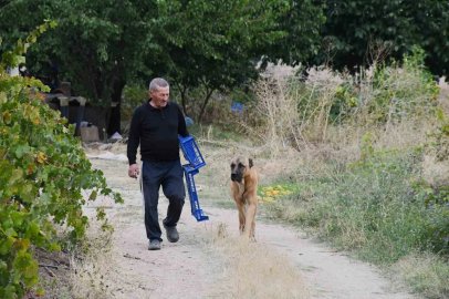 Bozkırın ortasında 15 yıllık emek: Emekli öğretmen yeşil vaha oluşturdu
