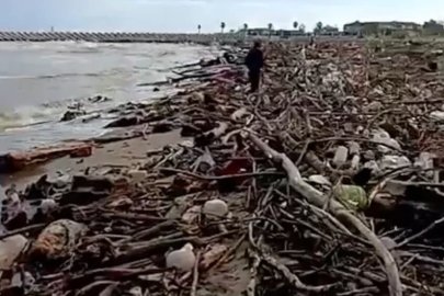 Sağanak sonrası Sakarya Nehri’nden sürüklenen dal ve çalılar sahile vurdu
