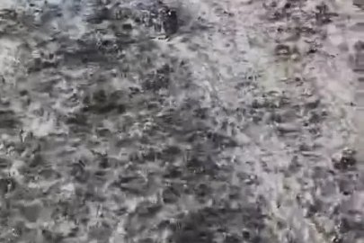 Elazığ’da yağışın ardından sel
