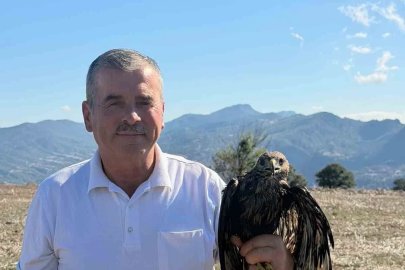 Bolu’da sıcak asfalta yapışan şahin, muhtarın müdahalesiyle kurtarıldı
