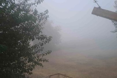 Diyarbakır’ın Silvan ilçesinde yoğun sis
