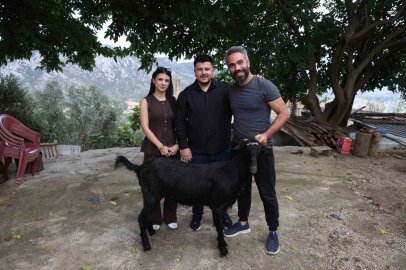 Damadın et sevgisini bilen arkadaşı düğünde keçi hediye etti
