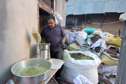 Doğanın hediyesi: 120 bitkiden oluşan zetrin baharatı yeniden keşfediliyor