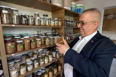 Edremit’te ata tohumları gelecek nesillere taşınıyor
