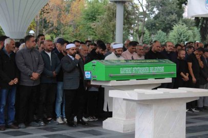 Ağaçtan düşen öğretmen hayatını kaybetti
