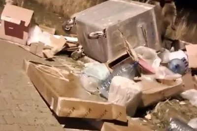 Sarıkamış’ta çöp konteynerlerinin arkasından ayı çıkıyor

