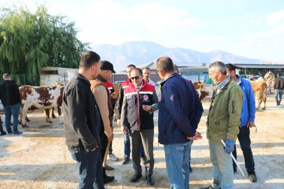 Erzincan’da hayvan yetiştiricilerine şap hastalığına karşı aşılama uyarısı