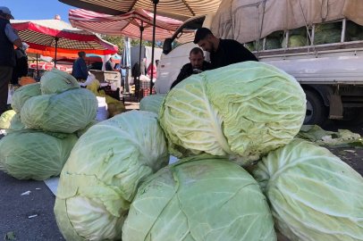 Erzincan'da turşuluk ve yemeklik lahanalar tezgahta yerini aldı