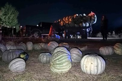 Bolu’da kabak yüklü traktör pikapla çarpıştı: 4 yaralı
