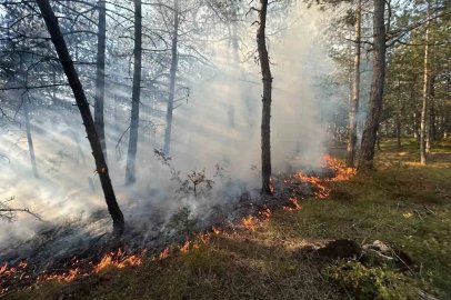 Karabük’te örtü yangını büyümeden söndürüldü
