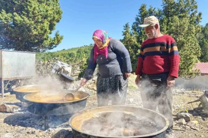 Sahilden yaylaya uzanan doğal yaşam ve Toroslar’da harnup pekmezi mesaisi

