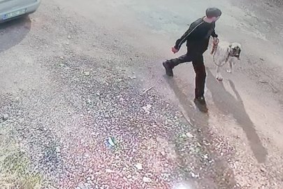 Siverek’te Kangal köpeğin çalınma anı kamerada
