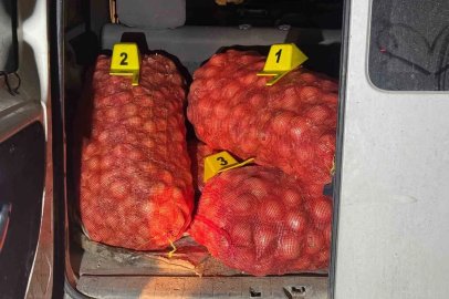 Jandarma soğan hırsızlarını suçüstü yaptı
