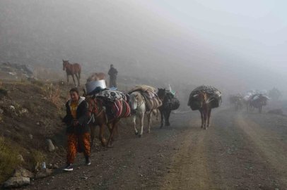 Soğuk etkisini gösterdi, Şırnak’ta göçerler yayladan ayrılmaya başladı
