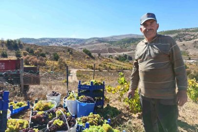 Yozgat’ta bağ bozumu heyecanı pekmez yolculuğuna uzandı
