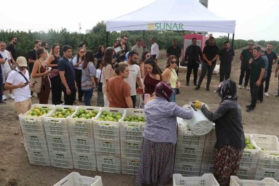 Sunar Yatırım’dan Lezzet Festivali kapsamında hasat etkinliği
