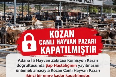 Kozan canlı hayvan pazarı şap hastalığı nedeniyle kapatıldı
