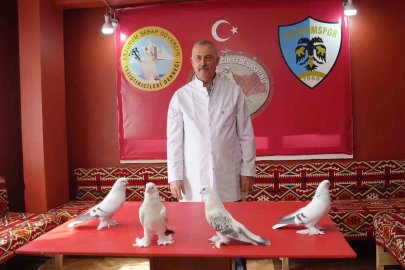 Emekli astsubay, 40 güvercini için ev kiraladı: Aylık 10 bin TL harcıyor
