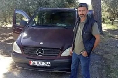 Zeytin toplarken arı soktu hayatını kaybetti
