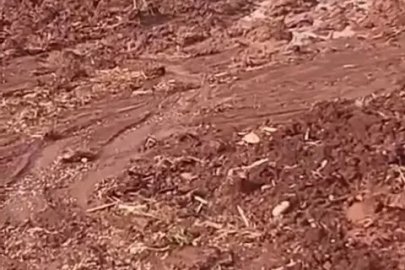 Çamura saplanan eşeği itfaiye ekipleri kurtardı

