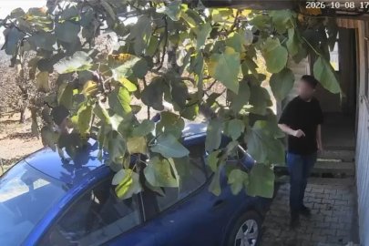 68 yaşındaki adamı muştayla darp etti
