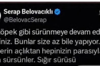 Gazeteci Serap Belovacıklı hakkında soruşturma başlatıldı
