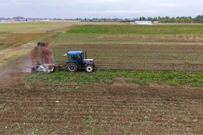 Muş ekonomisine pancardan 2 buçuk milyar TL’lik katkı
