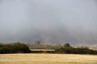 Şırnak’ta sis etkili oldu

