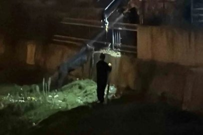 Vinçle kurtarılmayı bekleyen eşek sahibine koştu
