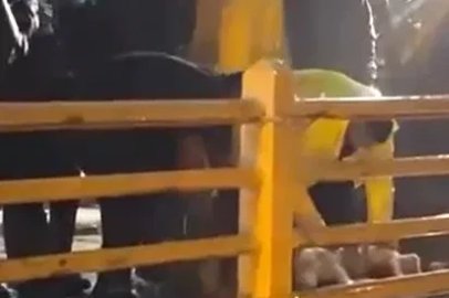 Yalova’da yağmurun durması için kurban kestiler
