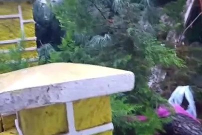 Üsküdar’da okul bahçesindeki ağaç devrildi
