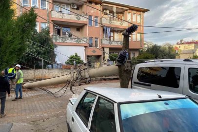 Devrilen elektrik direği otomobile çivi gibi saplandı
