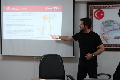 Erzincan’da 34 bin 840 koyun için ıslah çalışması yürütülüyor