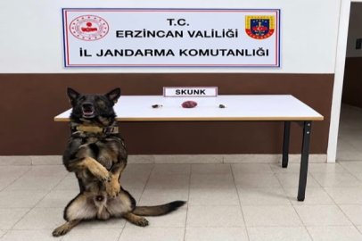 Erzincan’da bonzai hammaddesi ve skunk ele geçirildi