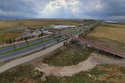 Erzurum’da hayvanların güvenli geçişi için yapılan ekolojik köprü tamamlandı
