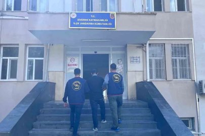 Siverek’te tel hırsızı yakalandı
