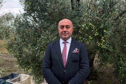 Marmarabirlik’ten 60 bin tonluk alım planı...Türkiye’de zeytinde rekor rekolte beklentisi
