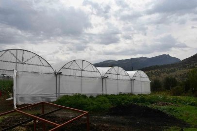 Devletten aldıkları yüzde 50 hibe ile ailelerin kurduğu seralar gelir kaynakları oldu
