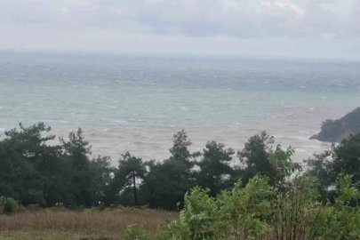 Karadeniz’in rengi kahverengiye dönüştü
