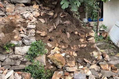 Yağmurdan dolayı toprak kaydı, taşlar devrildi
