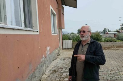 Depremin ardından ortaya çıkan salyangozlar mahalleyi ele geçirdi

