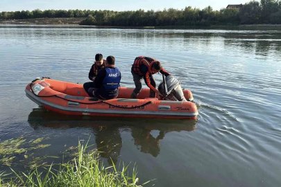 Meriç Nehri’nde botu alabora olan Iraklı ailenin kayıp son çocuğu için arama çalışmaları sürüyor

