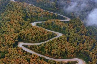 Türkiye’nin en büyük blok ormanlarında sonbahar şöleni
