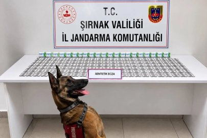 Şırnak’ta jandarmadan uyuşturucu ve aranan şahıslara operasyon: 12 tutuklama

