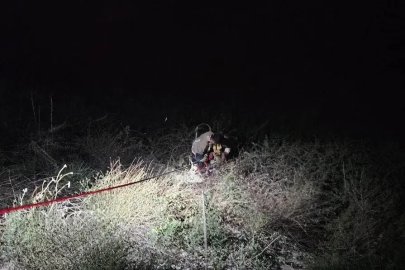 Asi Nehri’ne düşen koç itfaiye ekiplerinin zorlu çalışmasıyla kurtarıldı
